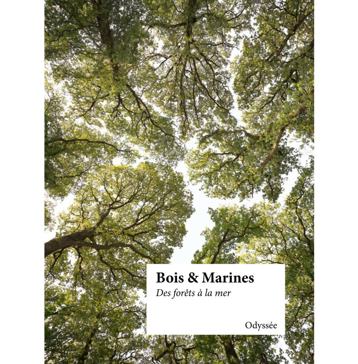 BOIS & MARINES, DES FORÊTS À LA MER