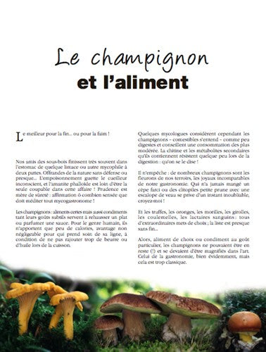 Champignons, l'Art et la Matière (Chapeau l'artiste !)