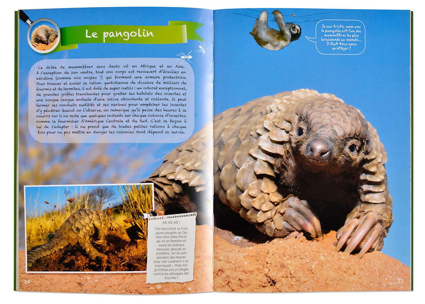 Géniale Nature : COMME DANS LA NATURE