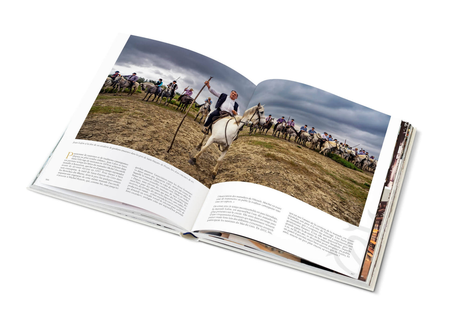 LES DYNASTIES DE CAMARGUE