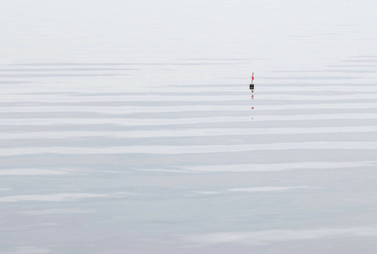 BOIS & MARINES, DES FORÊTS À LA MER