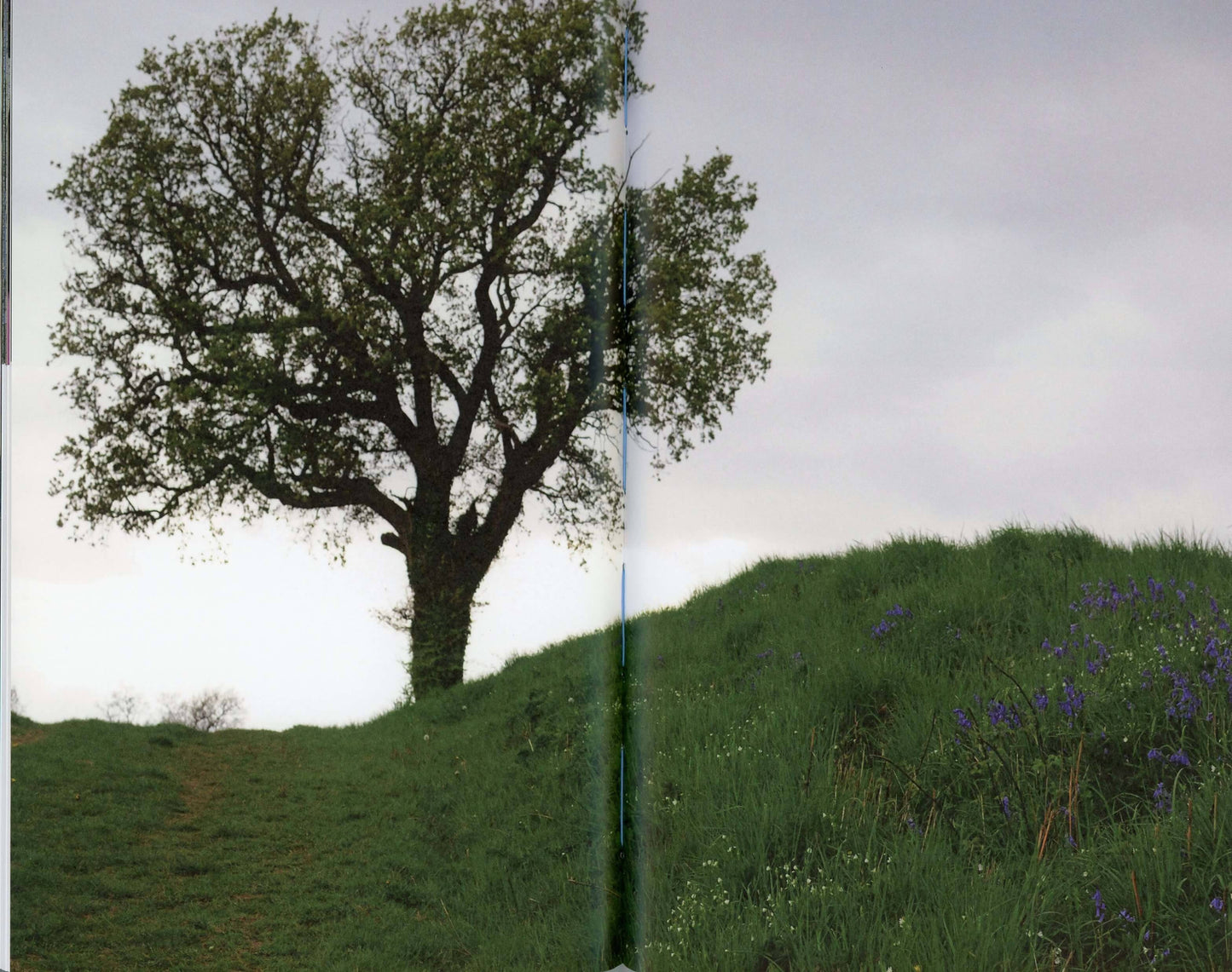 Une part de jour assez douce