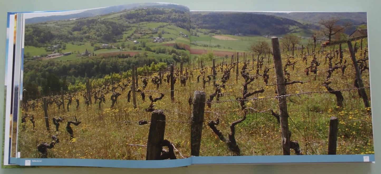 Paris Aubrac - destinations bistrots, éditions Fabienne Borie, 2018