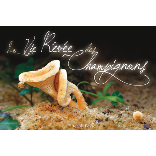 La Vie rêvée des Champignons