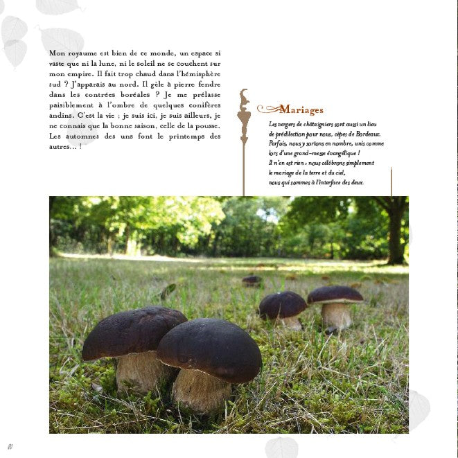 Le Roi Cèpe (confidences d'un champignon)