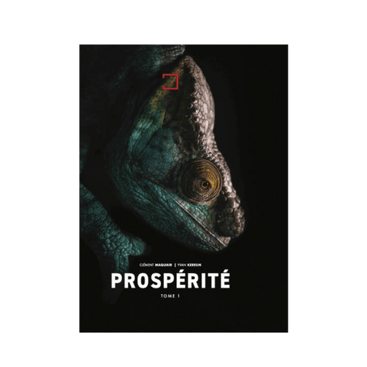 PROSPÉRITÉ, TOME 1