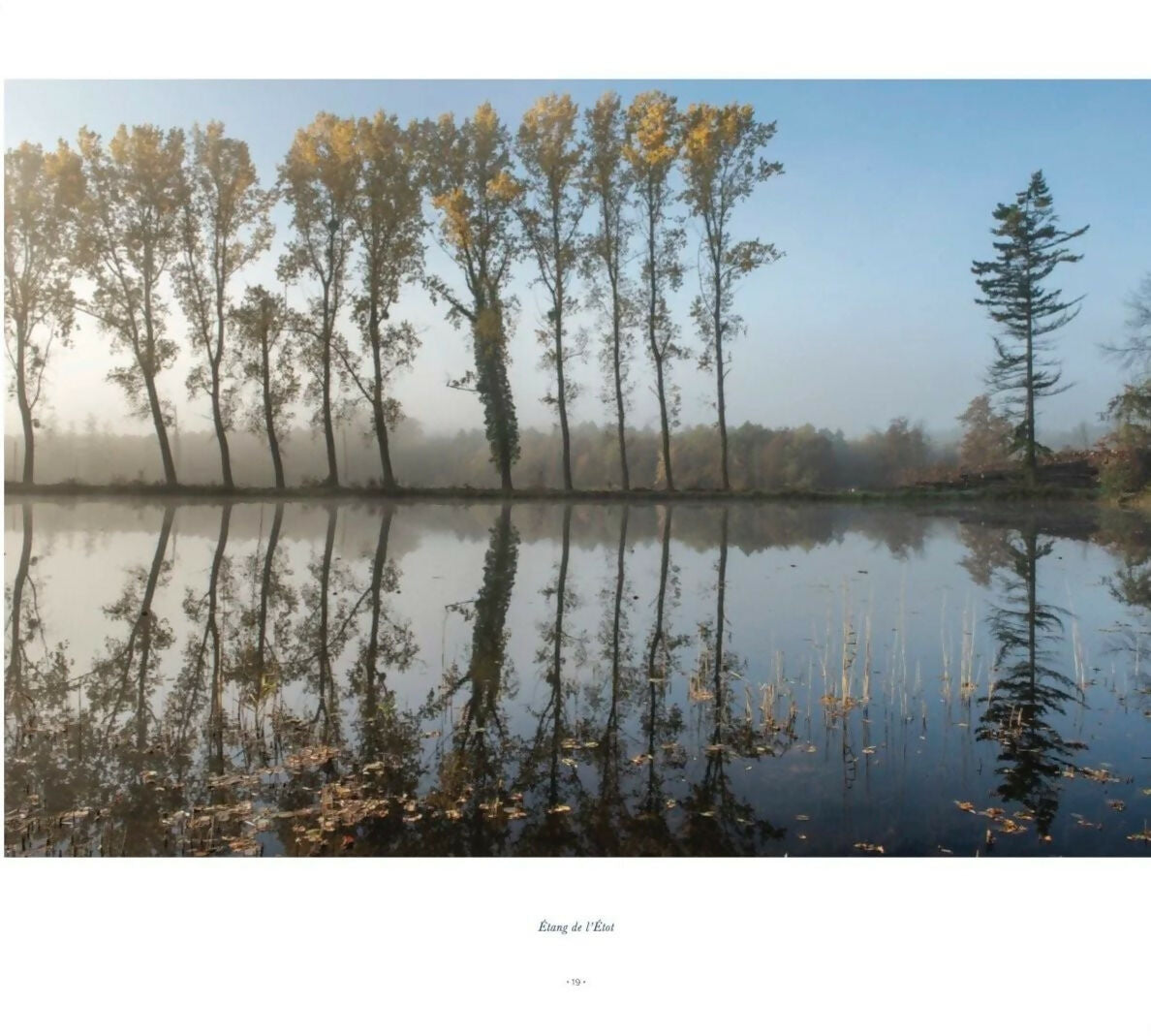 COMPIEGNE - LA VILLE · LA FORET · L'AGGLOMERATION