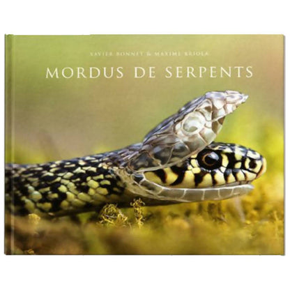 Mordus de serpents