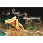 La Vie rêvée des Champignons